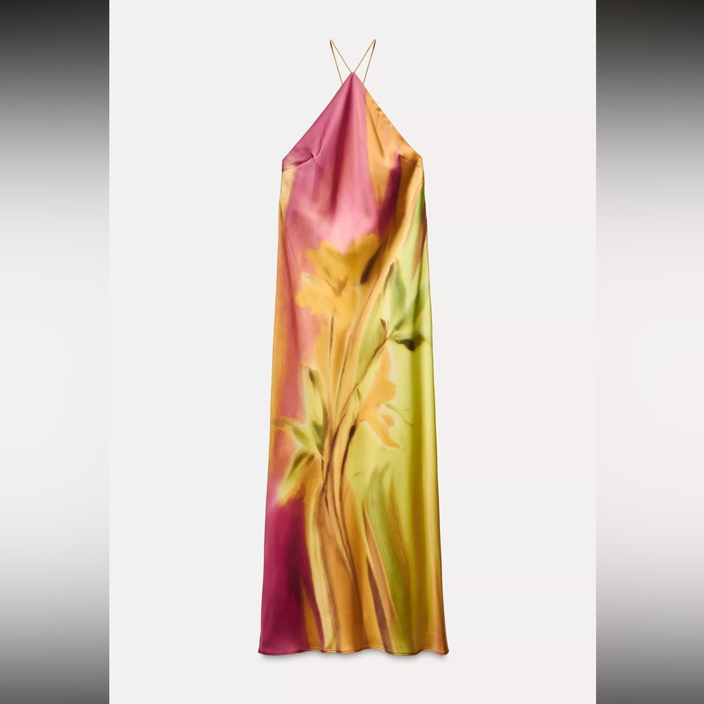 Zara maxi dress
